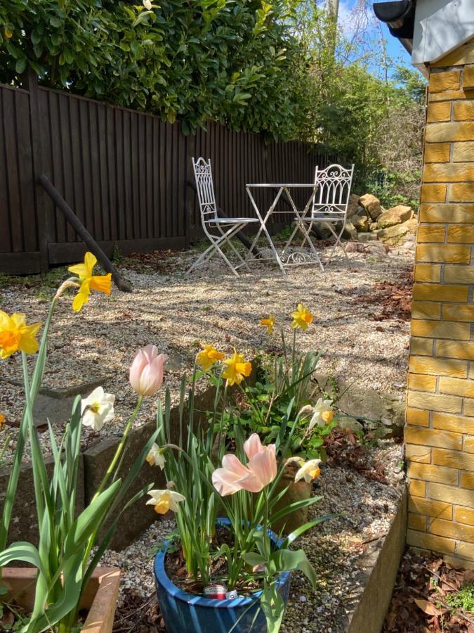 Swallow Cottage Castle Cary Ngoại thất bức ảnh